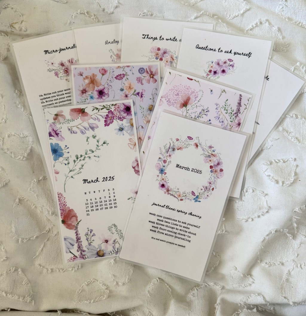 Newsletter 4 –&nbsp;28/03/2025