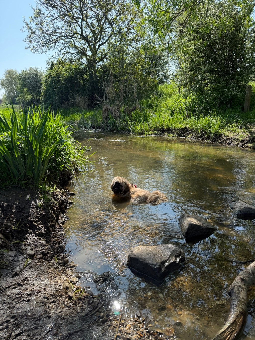 Newsletter 6-02/05/2025